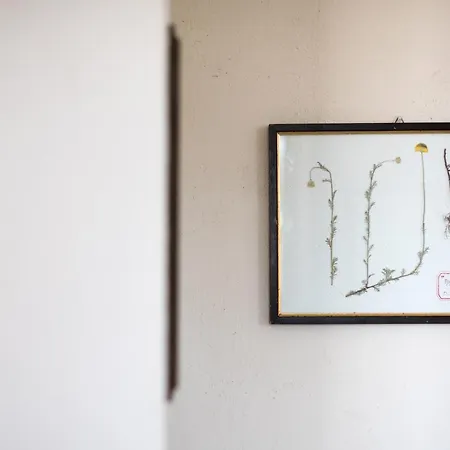 Casalino18 Séjour à la ferme Sienne