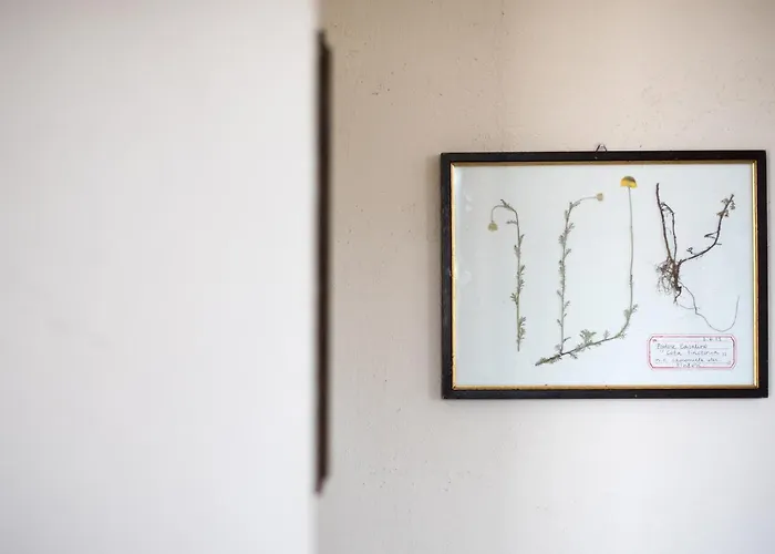 Casalino18 Farm stay Siena